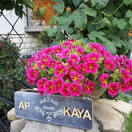 Apartment Kaya Mojstrana Kültér fotó