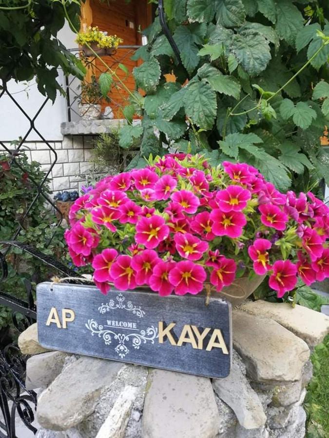 Apartment Kaya Mojstrana Kültér fotó